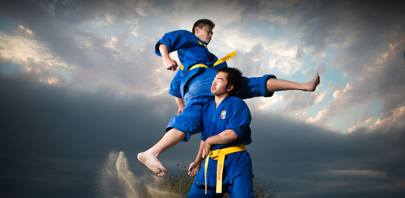 Nếu tính theo cấp học, Vovinam không chỉ có màu đai chính mà còn có các cấp, vạch hoặc đẳng để phân chia trình độ chi tiết. 