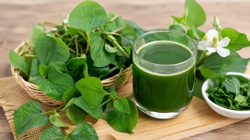 Thưởng thức nước diếp cá sau bữa ăn giúp hệ tiêu hóa hấp thụ tốt nhất.